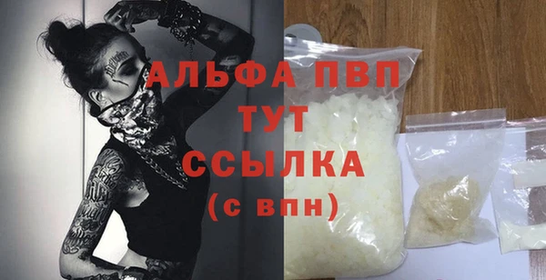 стаф Медногорск