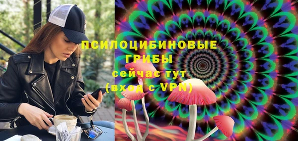 мескалин Медвежьегорск