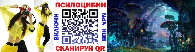 Галлюциногенные грибы Psilocybine cubensis  Холмск 