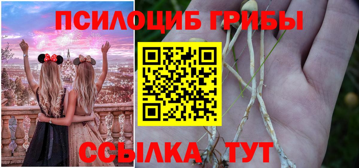 Галлюциногенные грибы MAGIC MUSHROOMS Холмск